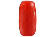 Sale Original Munga (Coral) Gemstone Online At Best Price | Ratanamrit